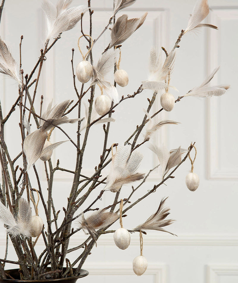 Fjäderblomma Sicksack