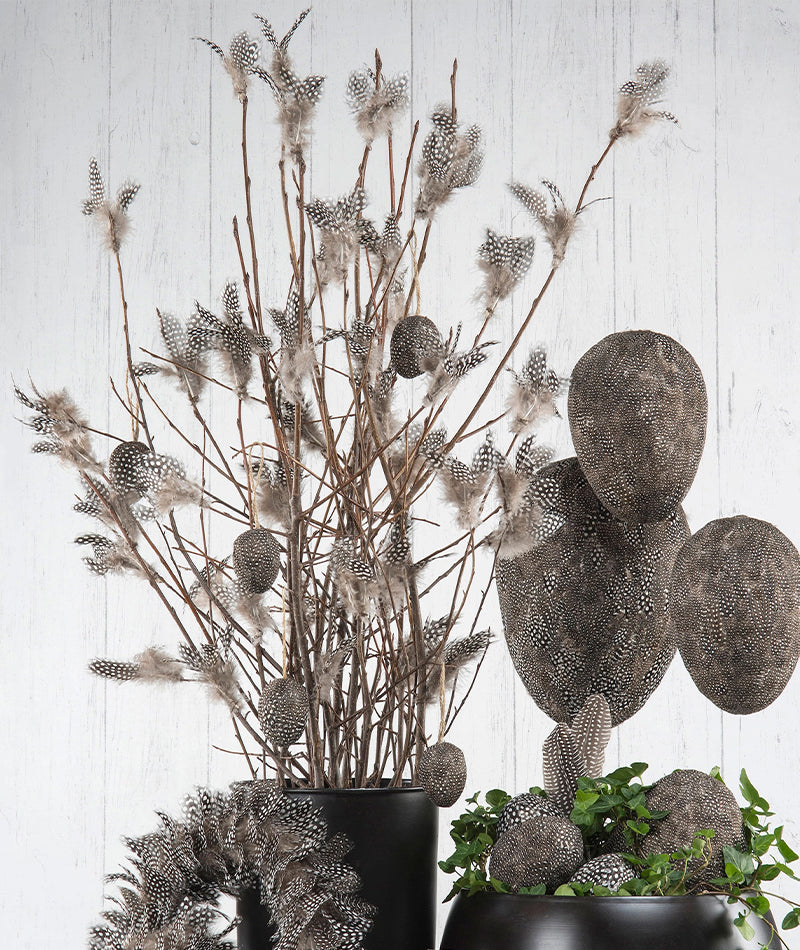 Fjäderblomma Pärlhöns