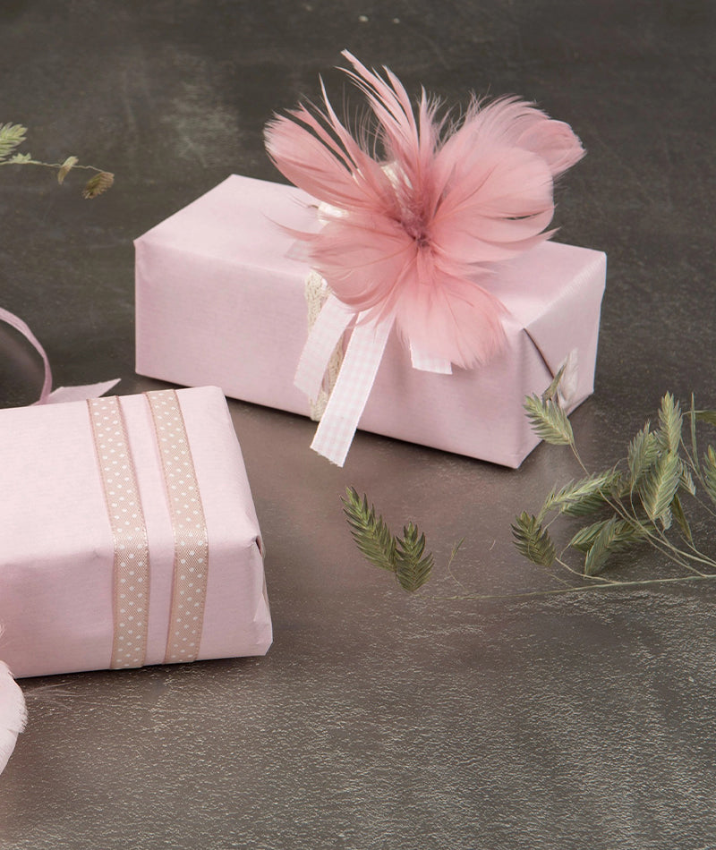 Fjäderblomma Gammalrosa