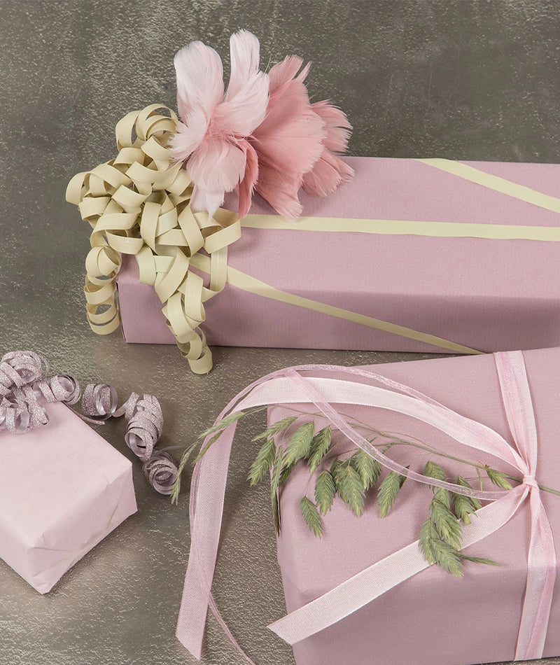 Fjäderblomma Ljusrosa