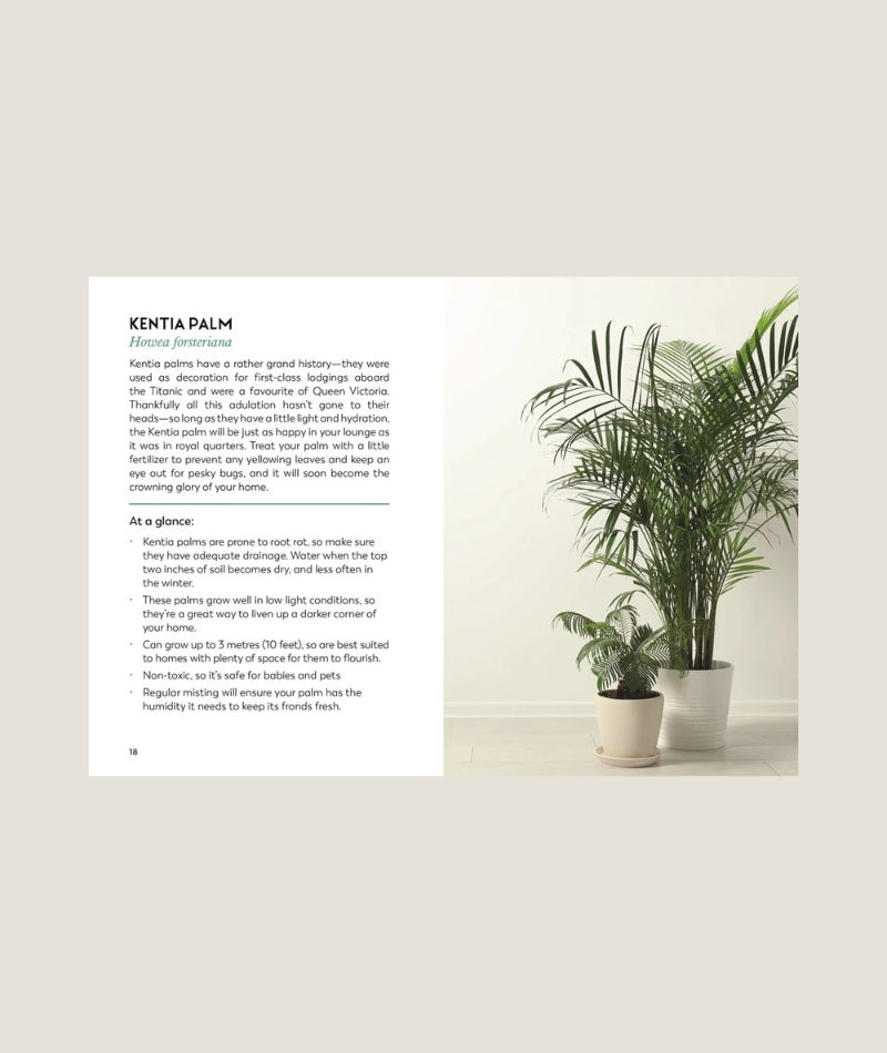 Coffe Tabel Books / Little Book for Plant Parents