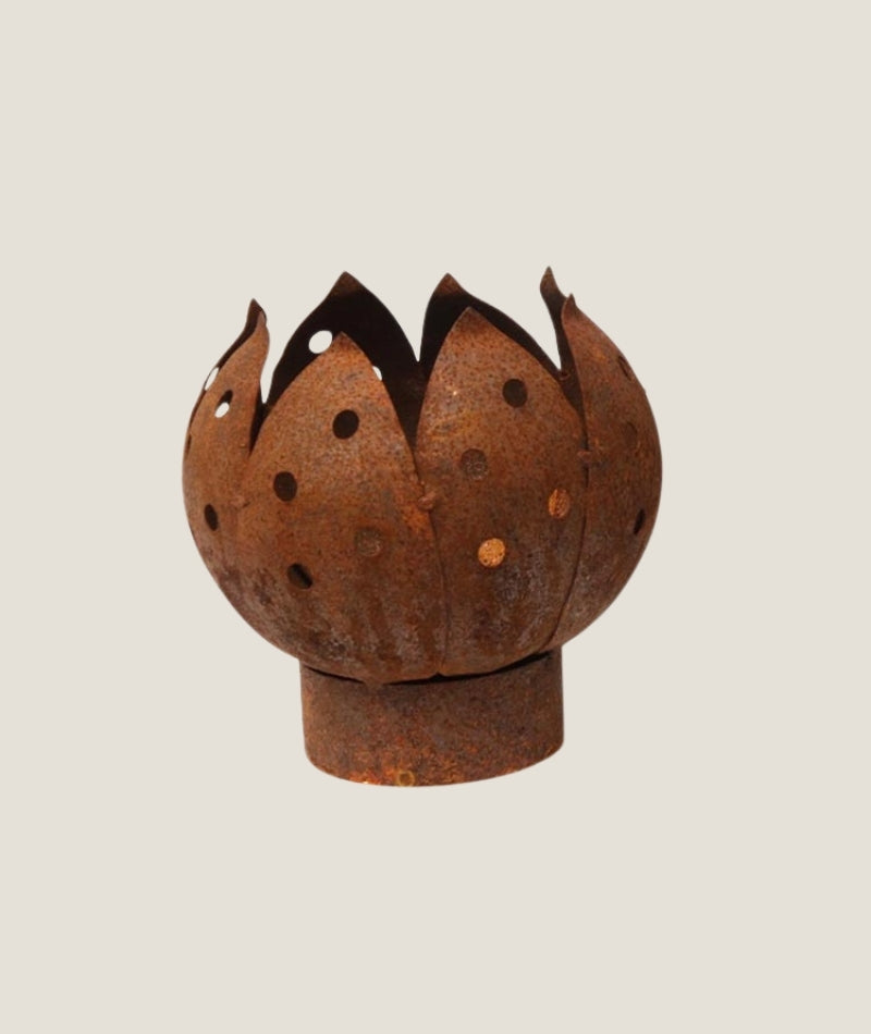 Marschall Tulpan toppig mark