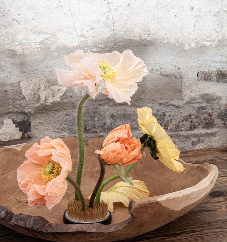 Kenzan blomsterfakir 7 cm för blomarrangemang - Ester Olivia