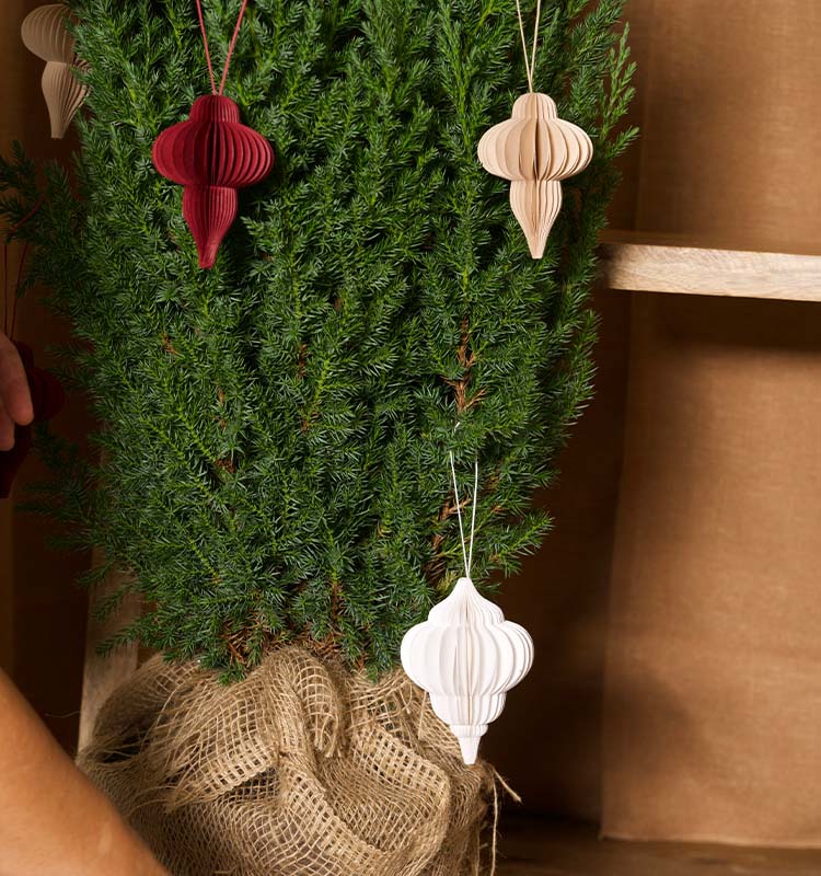 Julhänge i box mix mörkröd