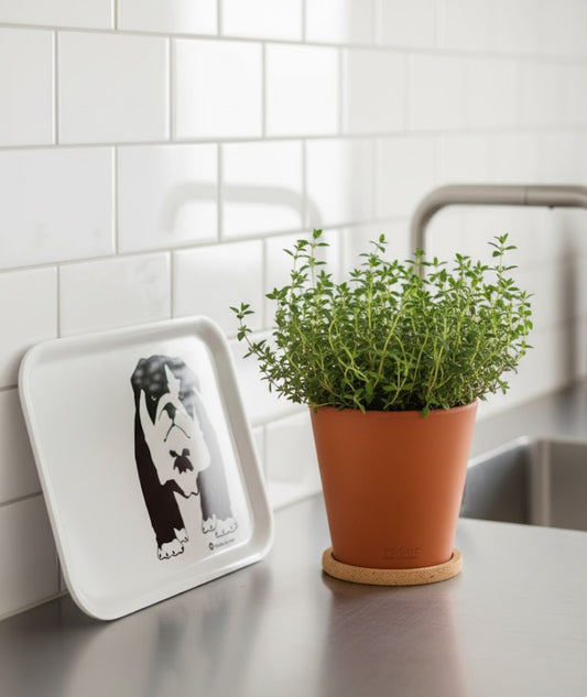 Serveringsbricka Märtha