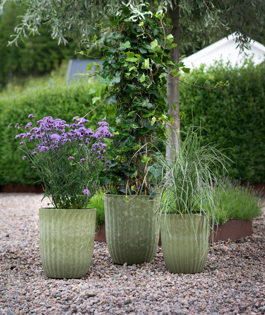 Yodit Kruka L Grönmelerad