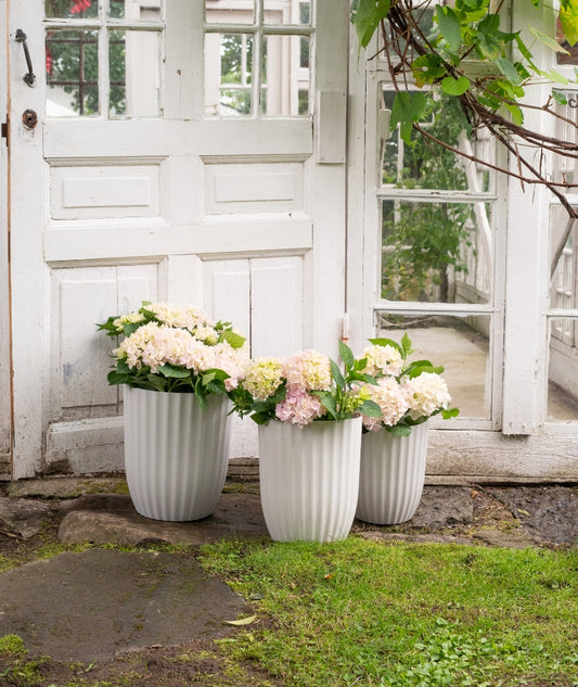 Yodit Kruka L Sandmelerad