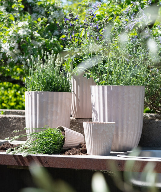 Yodit Kruka S Sandmelerad