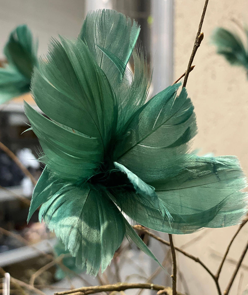 Fjäderblomma Mörkgrön