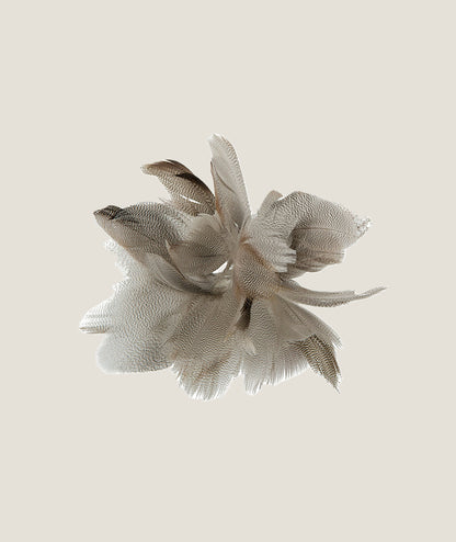 Fjäderblomma Sicksack