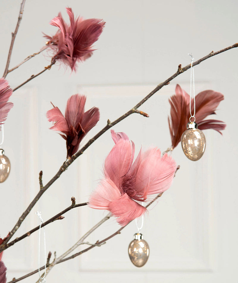 Fjäderblomma Gammalrosa