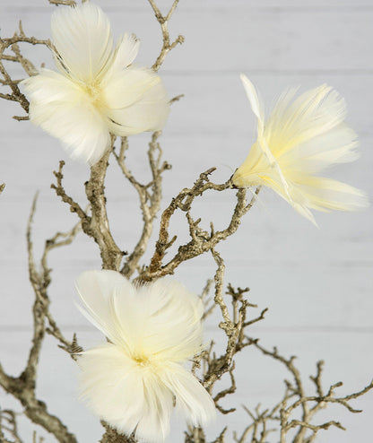 Fjäderblomma Ljusgul