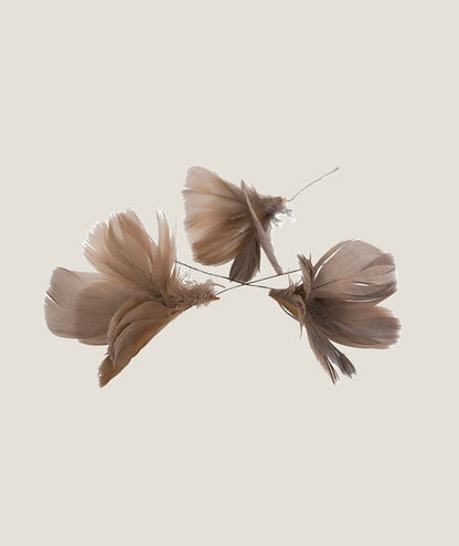 Fjäderblomma Mullvad