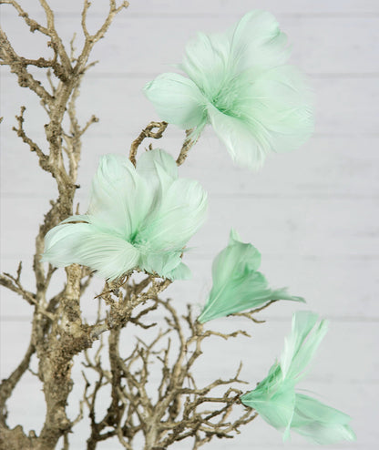 Fjäderblomma turkos