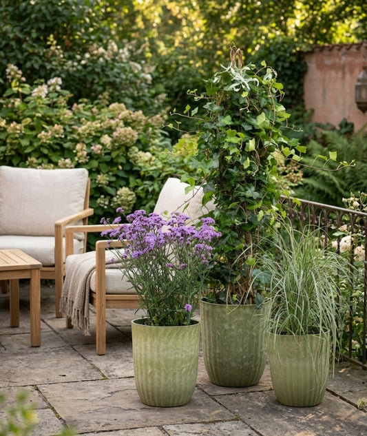 Yodit Kruka S Grönmelerad