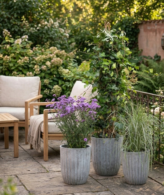 Yodit Kruka S Gråmelerad