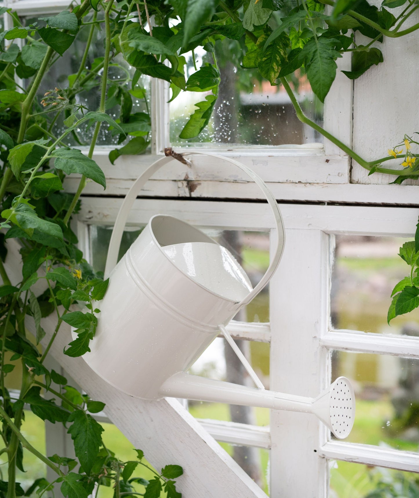 Vattenkanna Vit 5,5L