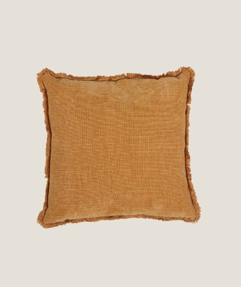 Danny Kuddfodral Havre