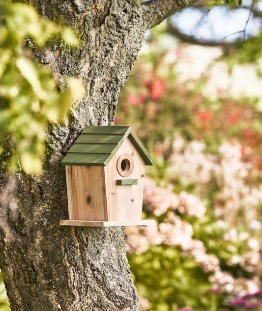 Klassisk Fågelhus grön/natur