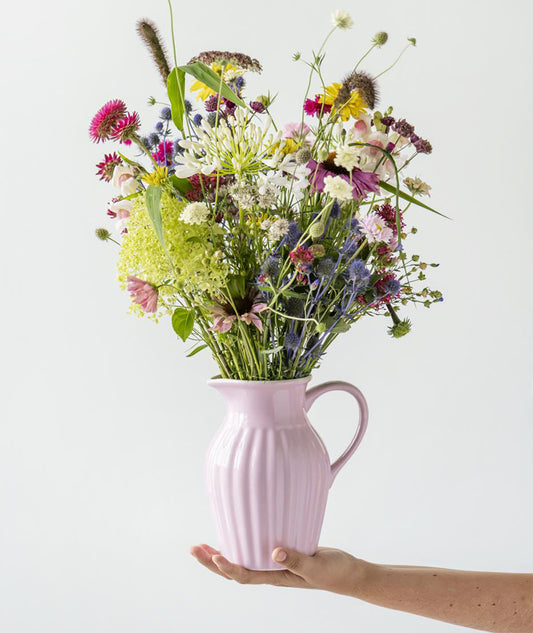 Kanna Mynte English Rose