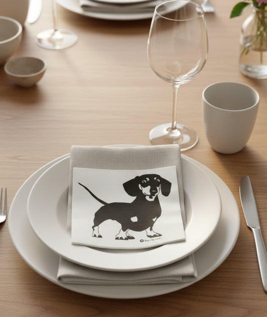 Pappersservett 2-pack