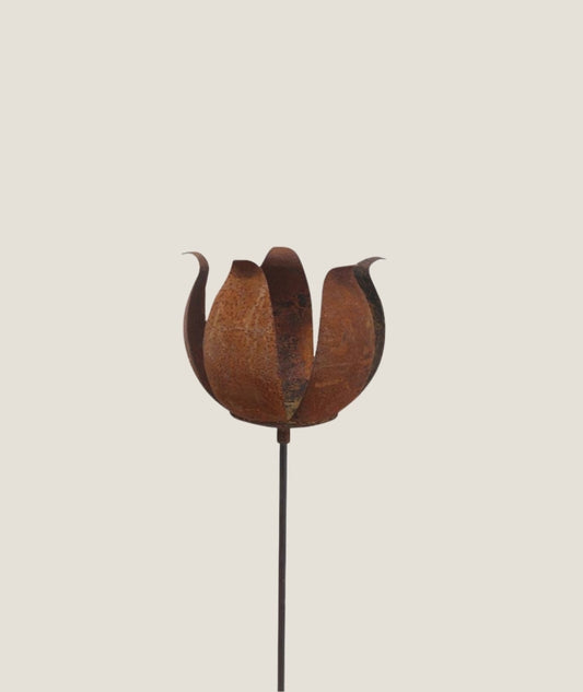 Marschall ros med markfäste