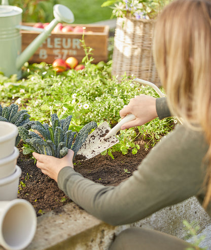 Planteringsspade Creme