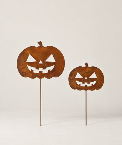 Pumpa Sticks Rost 2 set