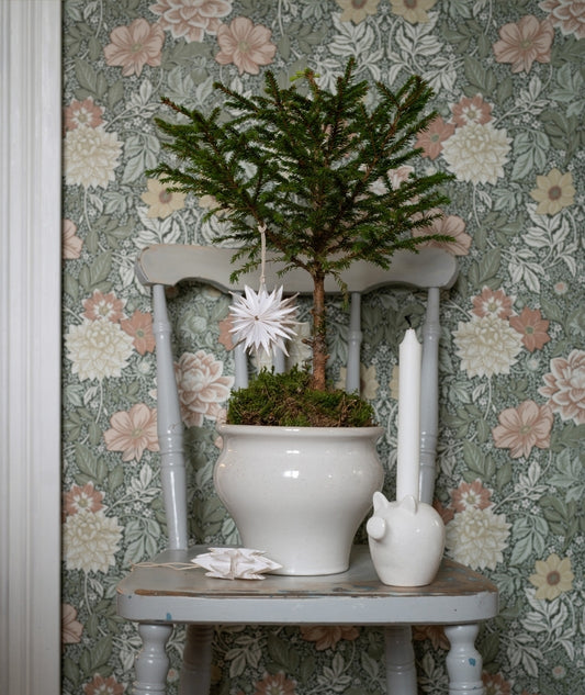 Kim Ljushållare Grisformad - Röd