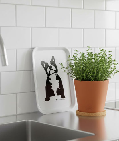 Serveringsbricka Buster