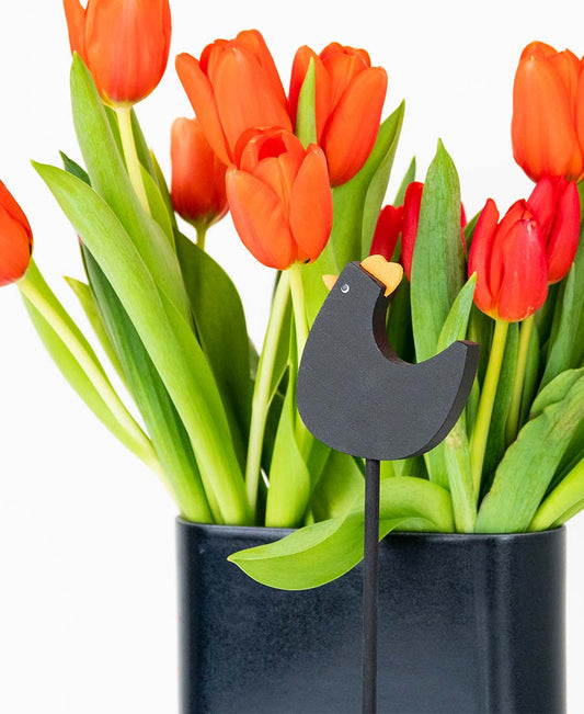 Vårtupp på pinne-svart