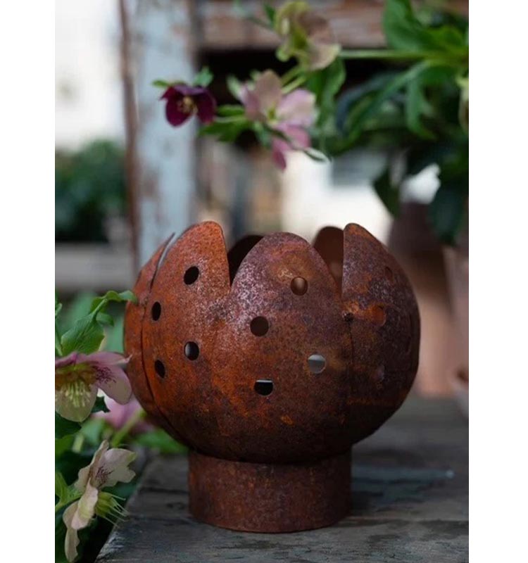 Marschall Tulpan rund Mark