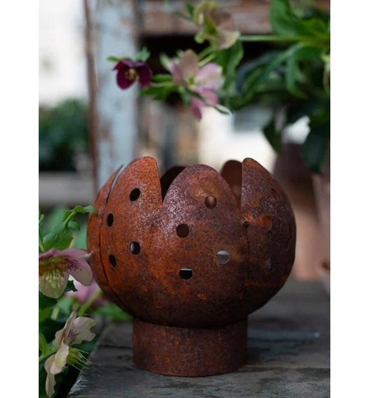 Marschall Tulpan rund Mark