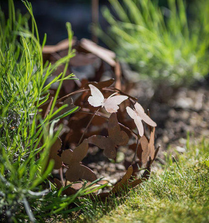 Roya Deko boll M rost