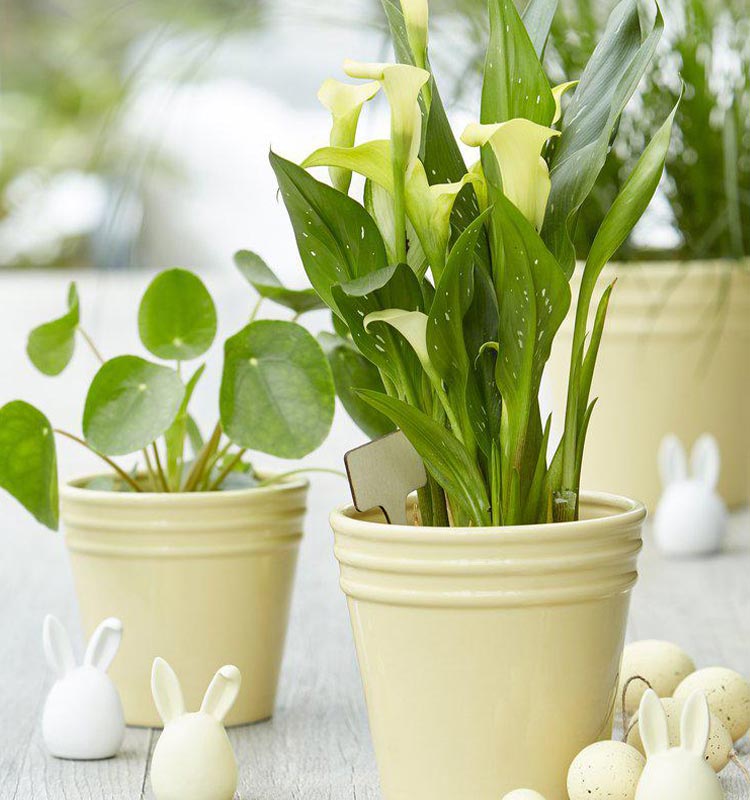 Trädgårdsskylt Mix