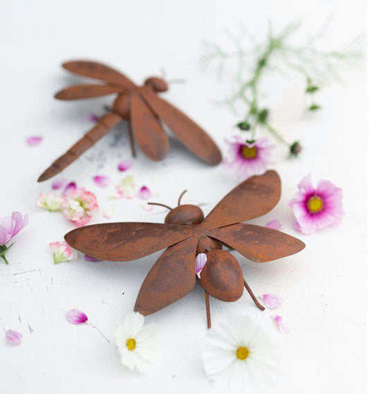 Amy insekt Mix 2 set Rost