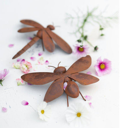 Amy insekt Mix 2 set Rost