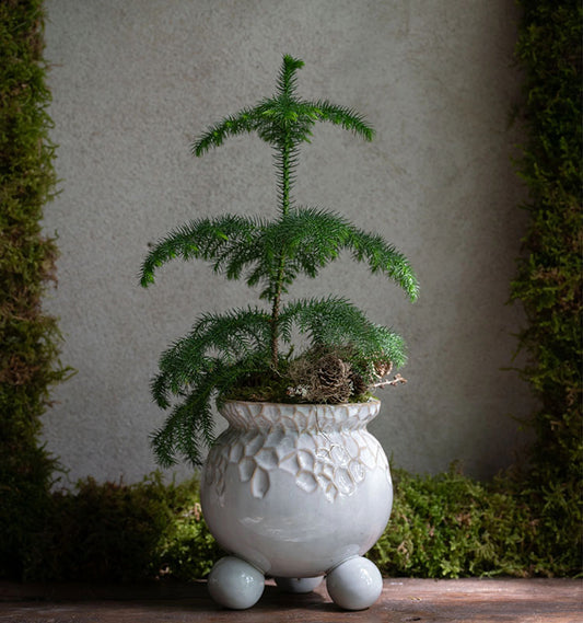 Anya kruka Offwhitemelerad M med kulfötter