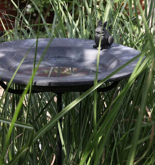 Fågelbad Gråsparv på stativ/fot