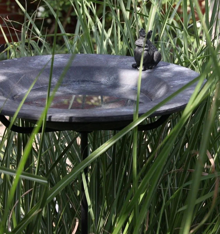 Fågelbad Gråsparv på stativ/fot