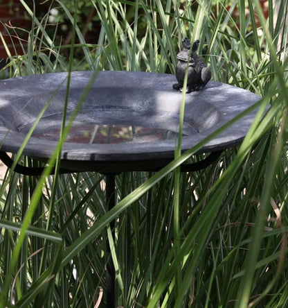 Fågelbad Gråsparv på stativ/fot