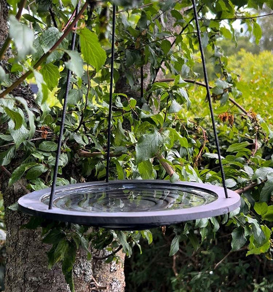 Fågelbad Trappa hängandes