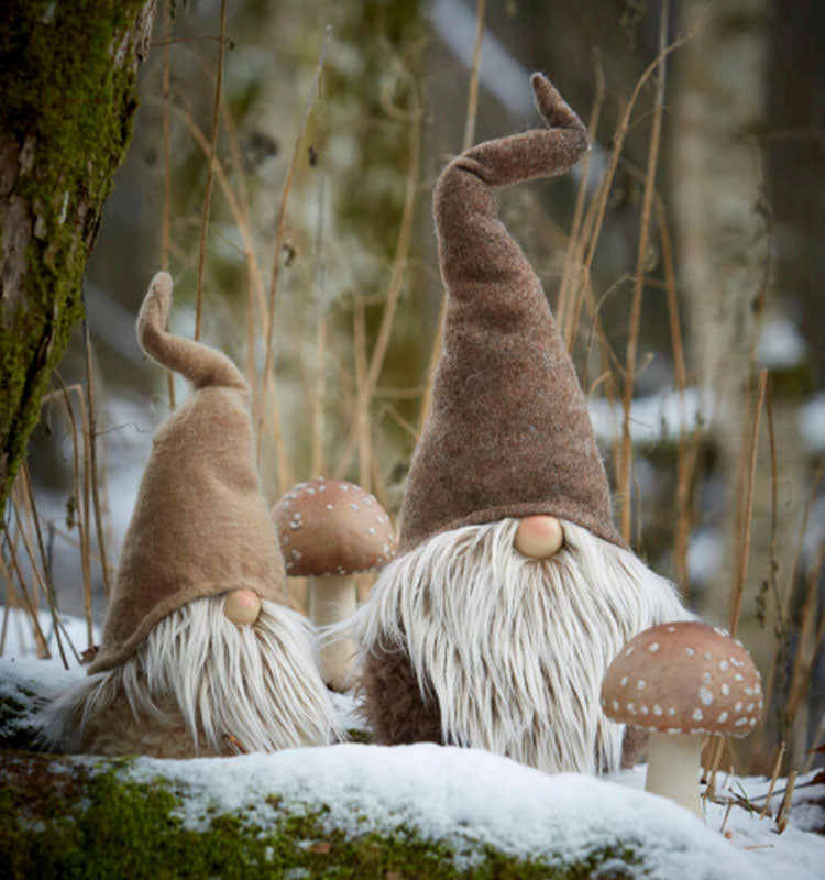 Rune Tomte S