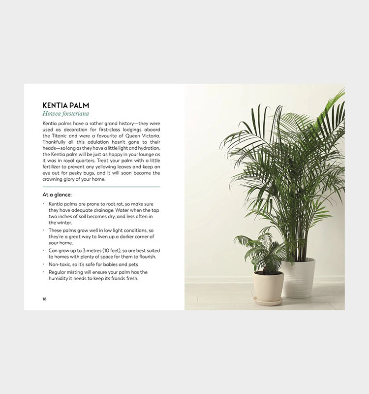 Coffe Tabel Books / Little Book for Plant Parents