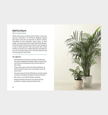 Coffe Tabel Books / Little Book for Plant Parents