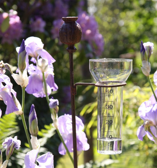 Regnmätare Vallmo ELDgarden