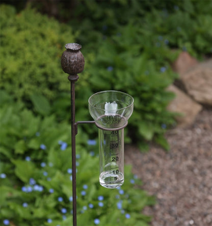 Regnmätare Vallmo ELDgarden