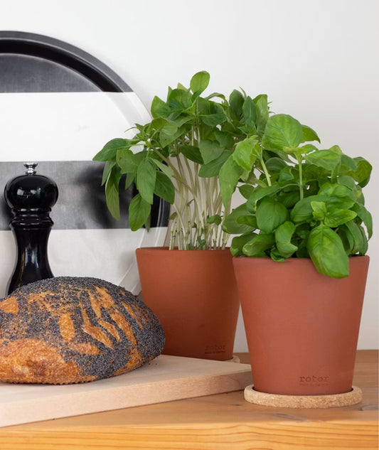 Kryddkruka i lergods med korkfat