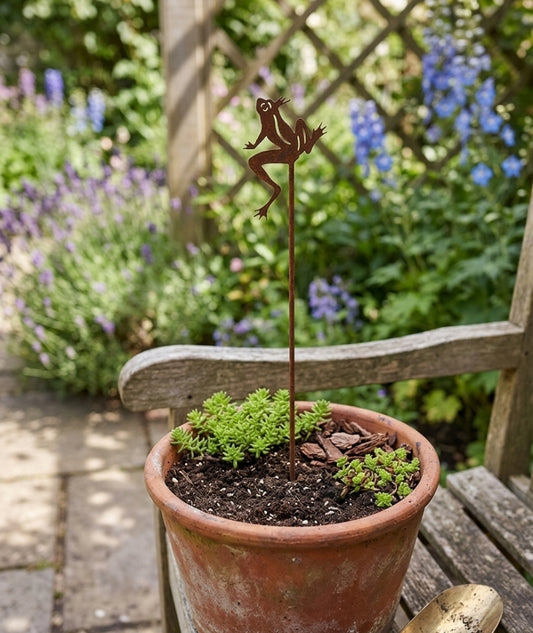 Groda mini